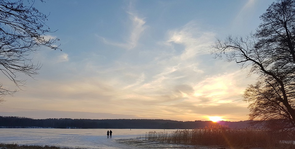 Ryby w jeziorze Rosnowskim